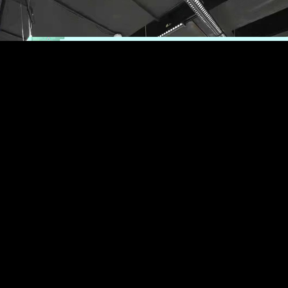 38單偏光線性燈